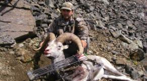 bow hunting stone sheep